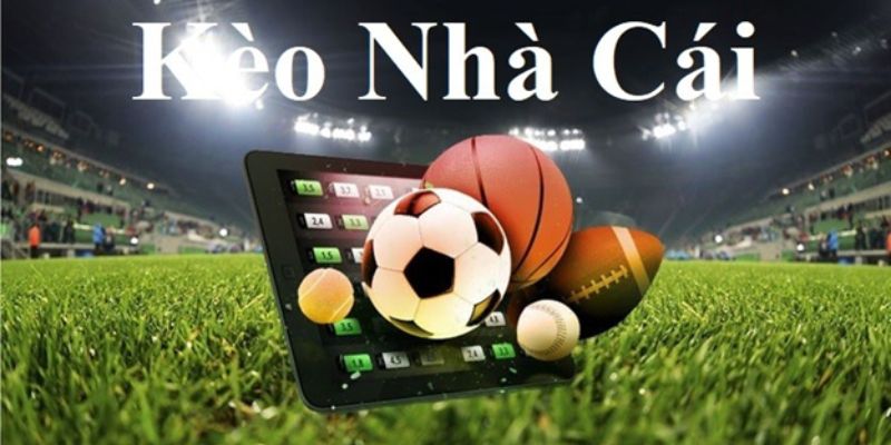 Chia Sẻ Cách Soi Kèo nhà cái 555win Chuẩn Nhất 2025 Tổng quan về Kèo nhà cái