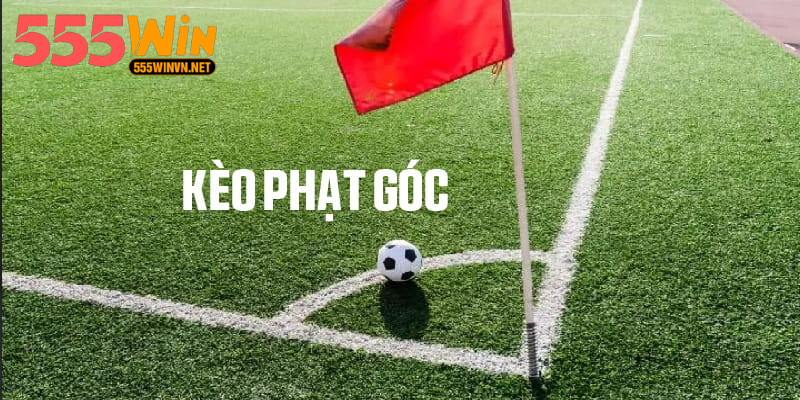 Kèo Phạt Góc Là Gì: Hướng Dẫn Chi Tiết Cho Người Chơi Kinh nghiệm soi kèo phạt góc hiệu quả cho người mới
